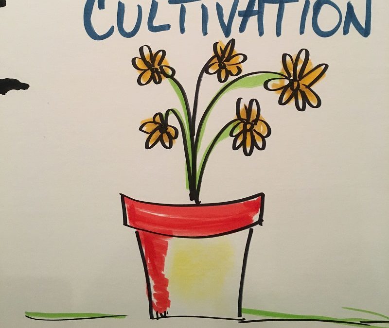 Pruning and Weeding Your Life Through Visual Thinking